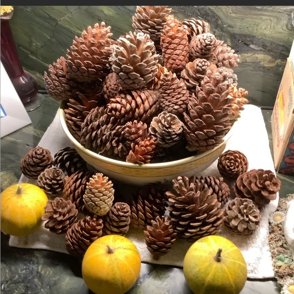 Cinnamon Apple Scented Pinecones From My Farm Organic - Picture 6 of 10